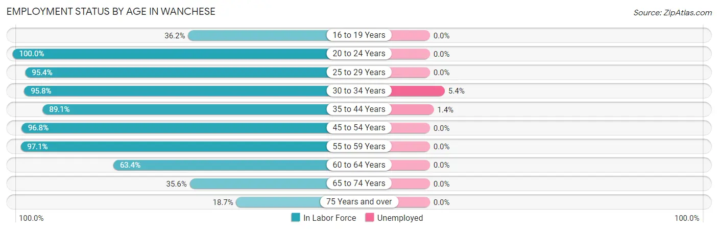 Employment Status by Age in Wanchese