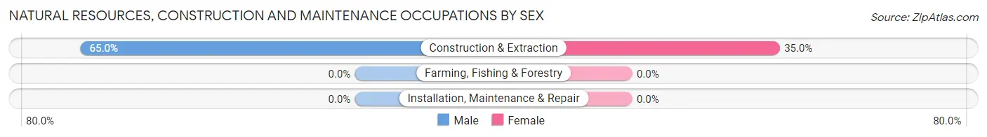 Natural Resources, Construction and Maintenance Occupations by Sex in Warsaw