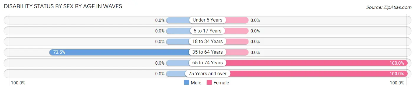 Disability Status by Sex by Age in Waves