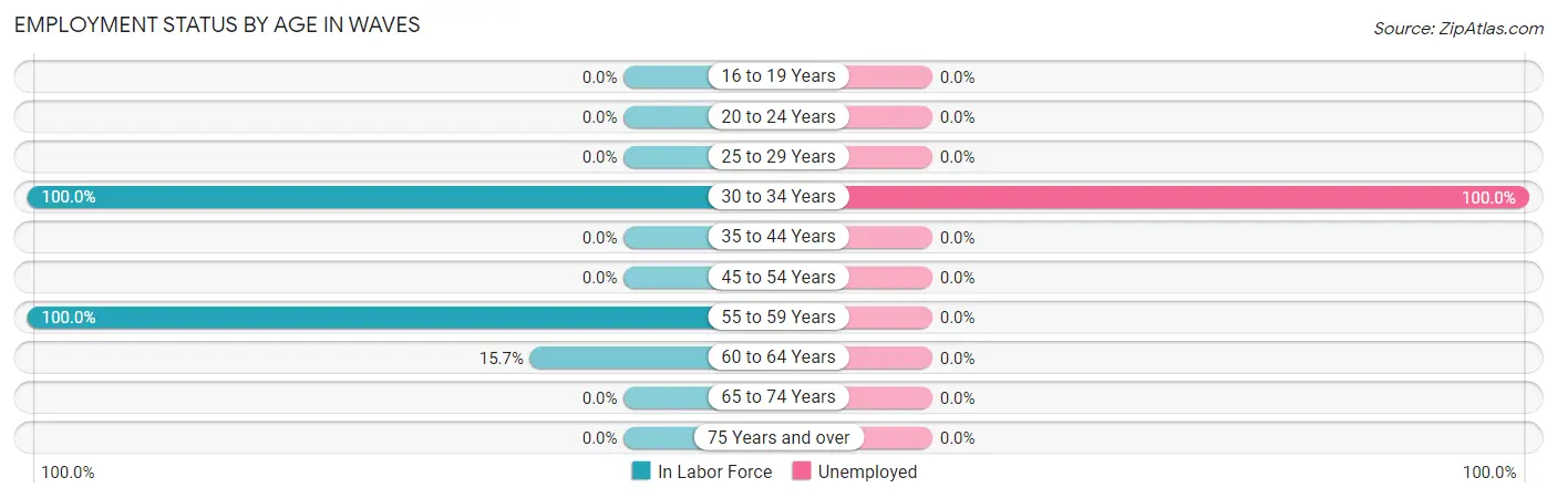 Employment Status by Age in Waves