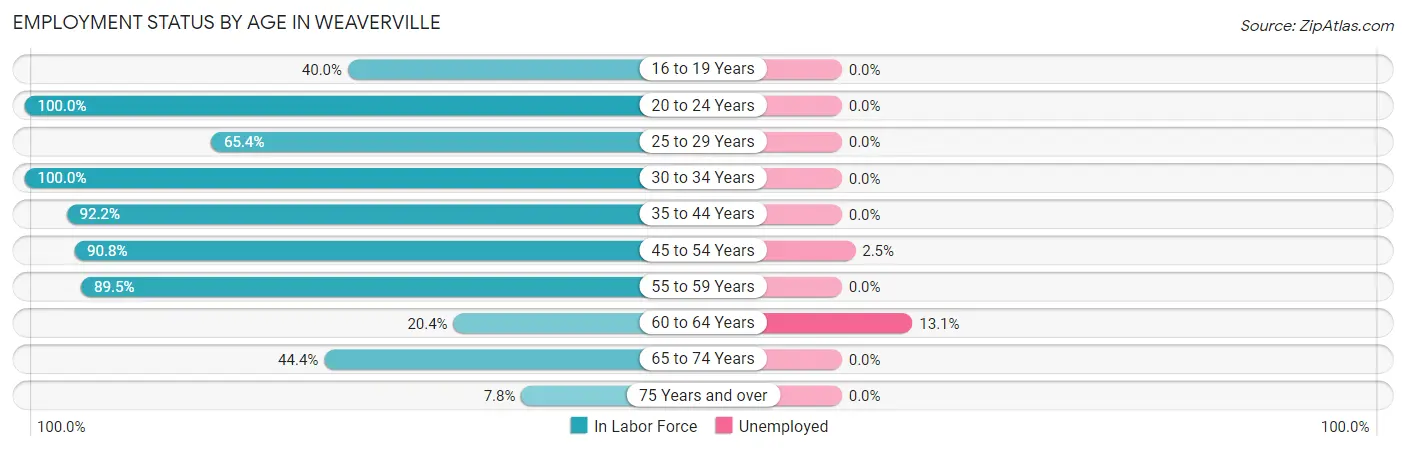 Employment Status by Age in Weaverville