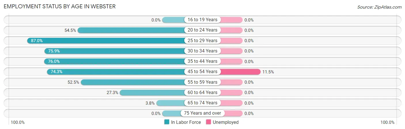 Employment Status by Age in Webster