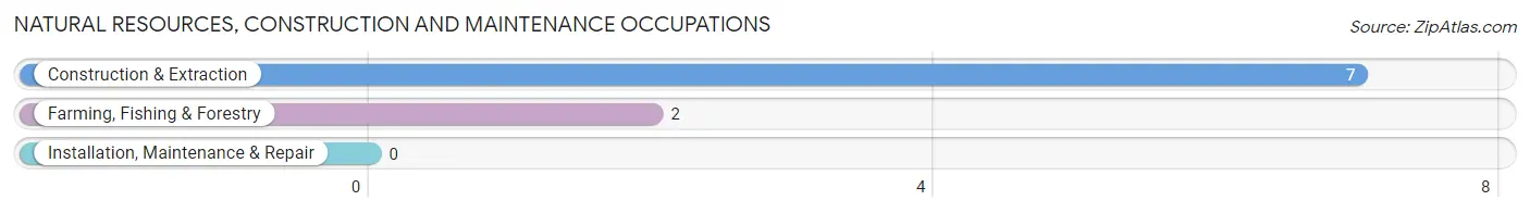 Natural Resources, Construction and Maintenance Occupations in Webster