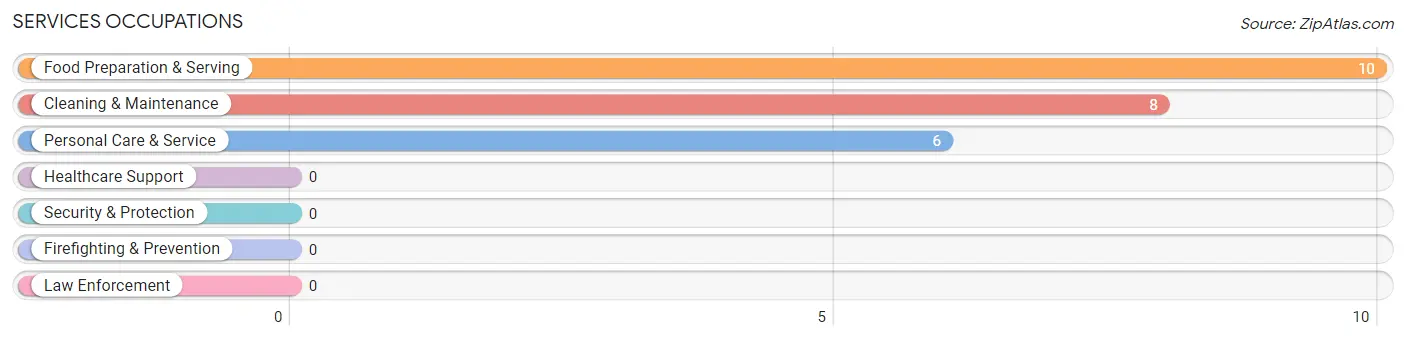 Services Occupations in Webster