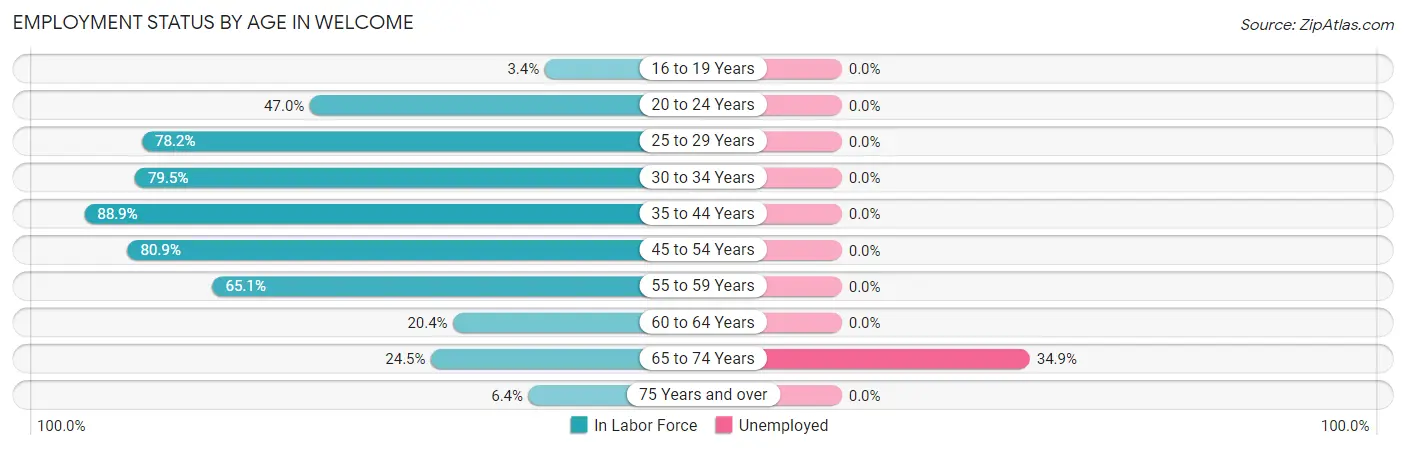 Employment Status by Age in Welcome