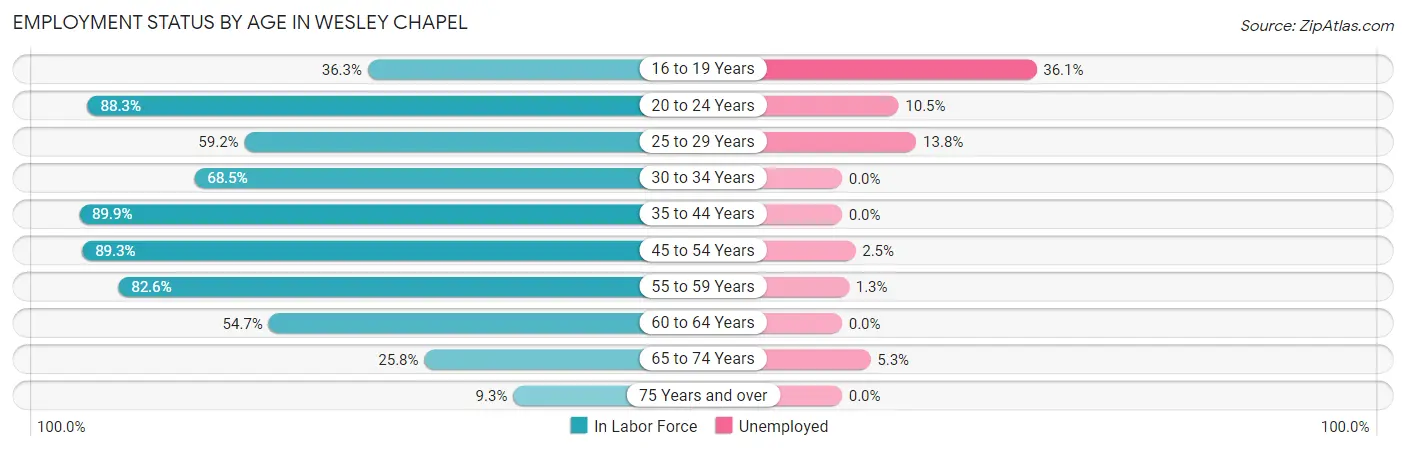 Employment Status by Age in Wesley Chapel