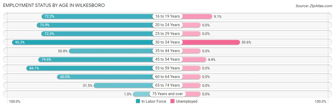 Employment Status by Age in Wilkesboro