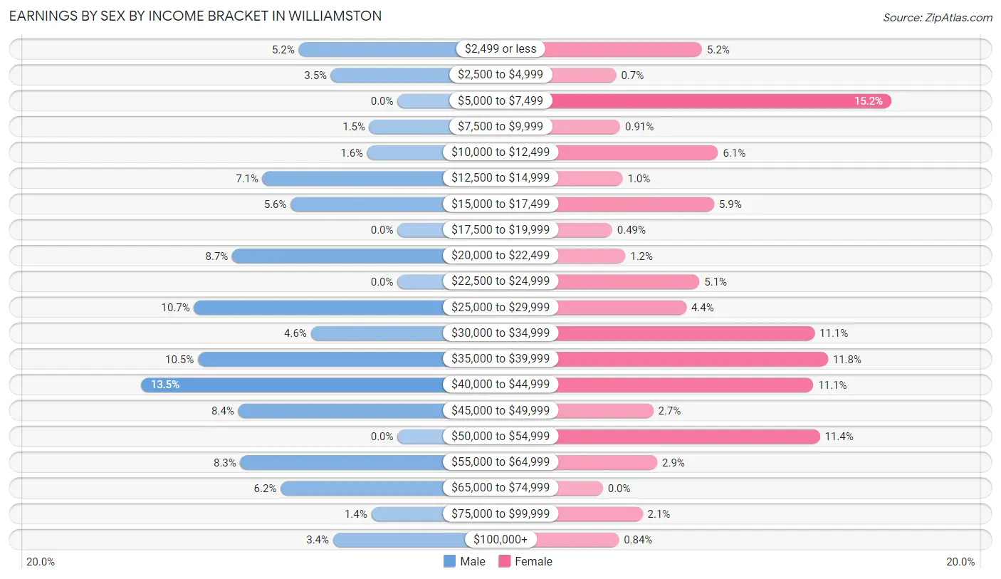 Earnings by Sex by Income Bracket in Williamston