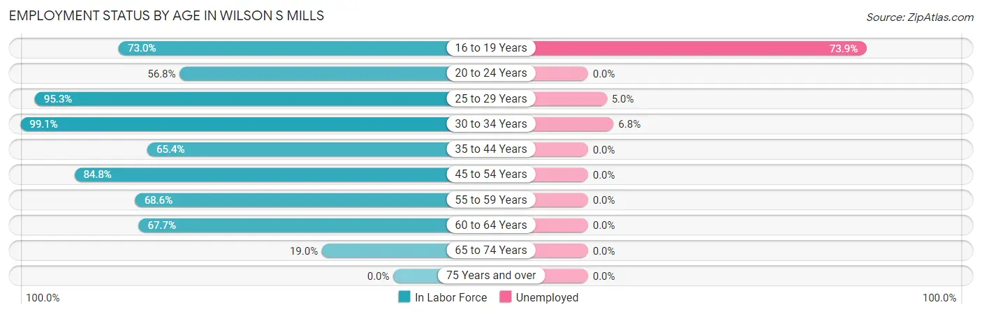 Employment Status by Age in Wilson s Mills