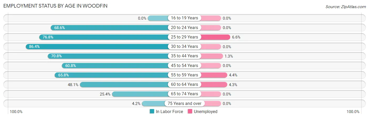 Employment Status by Age in Woodfin