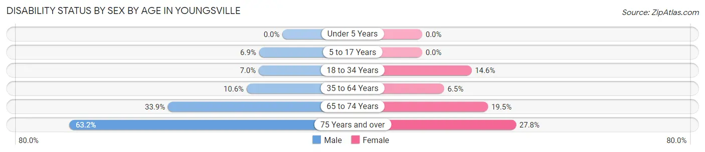 Disability Status by Sex by Age in Youngsville