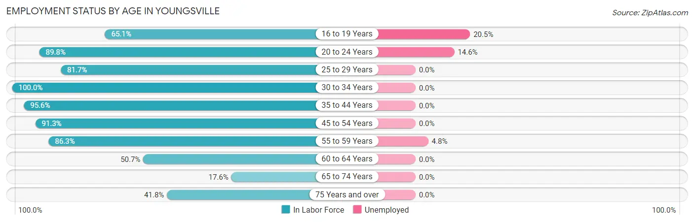 Employment Status by Age in Youngsville
