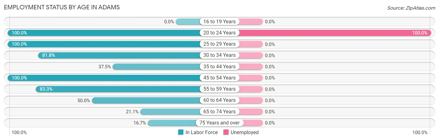 Employment Status by Age in Adams