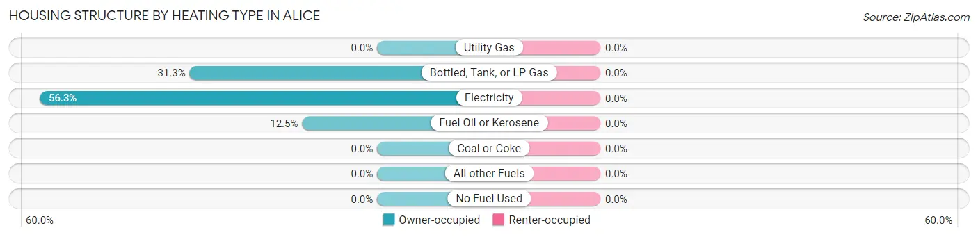 Housing Structure by Heating Type in Alice