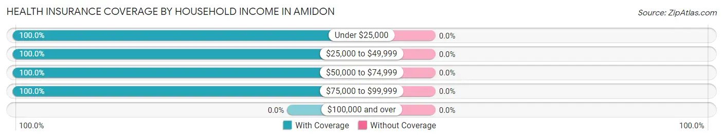 Health Insurance Coverage by Household Income in Amidon