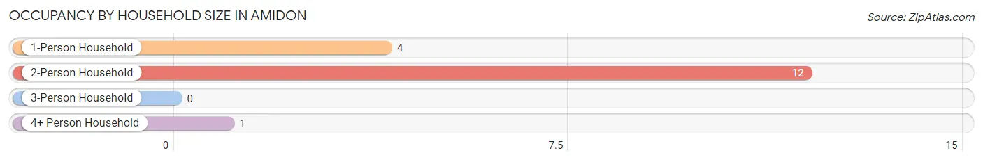 Occupancy by Household Size in Amidon