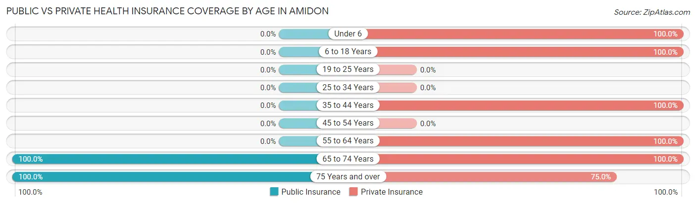 Public vs Private Health Insurance Coverage by Age in Amidon