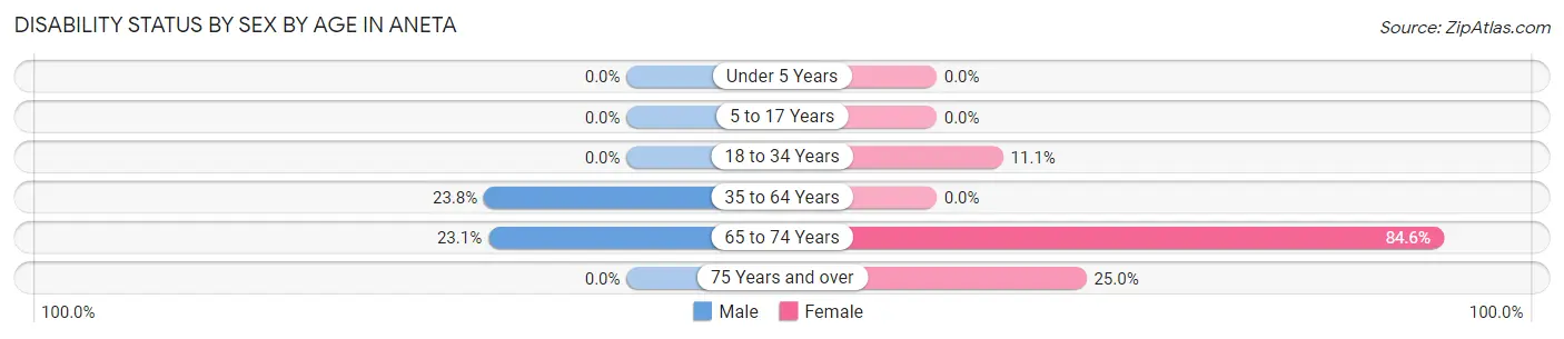 Disability Status by Sex by Age in Aneta