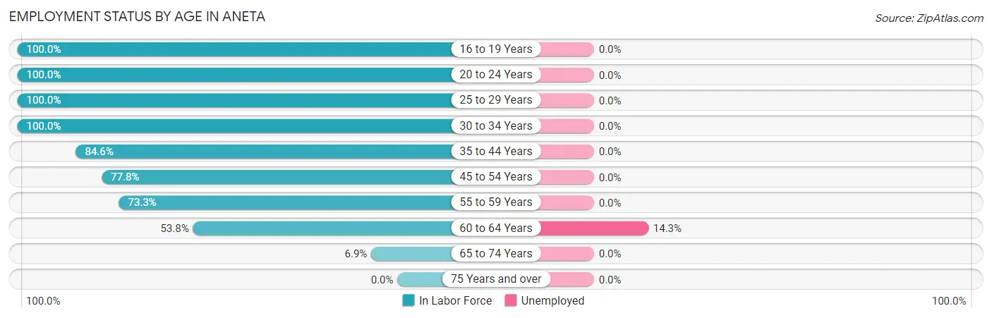 Employment Status by Age in Aneta