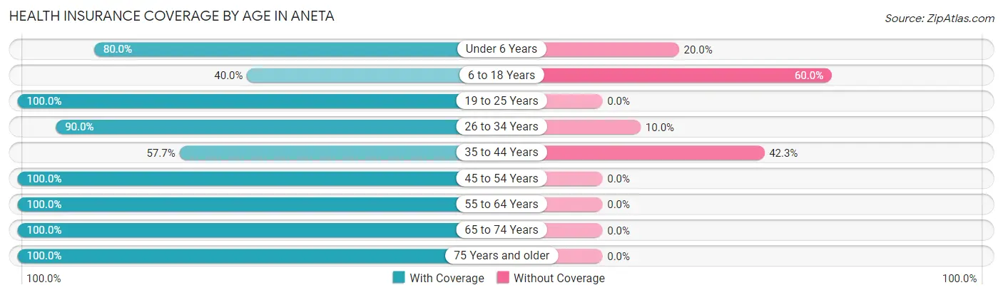 Health Insurance Coverage by Age in Aneta