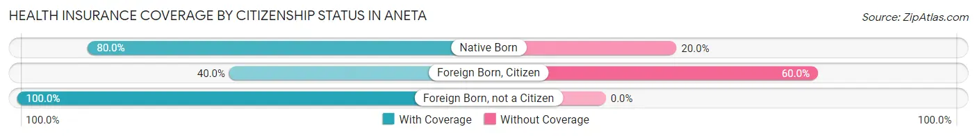 Health Insurance Coverage by Citizenship Status in Aneta