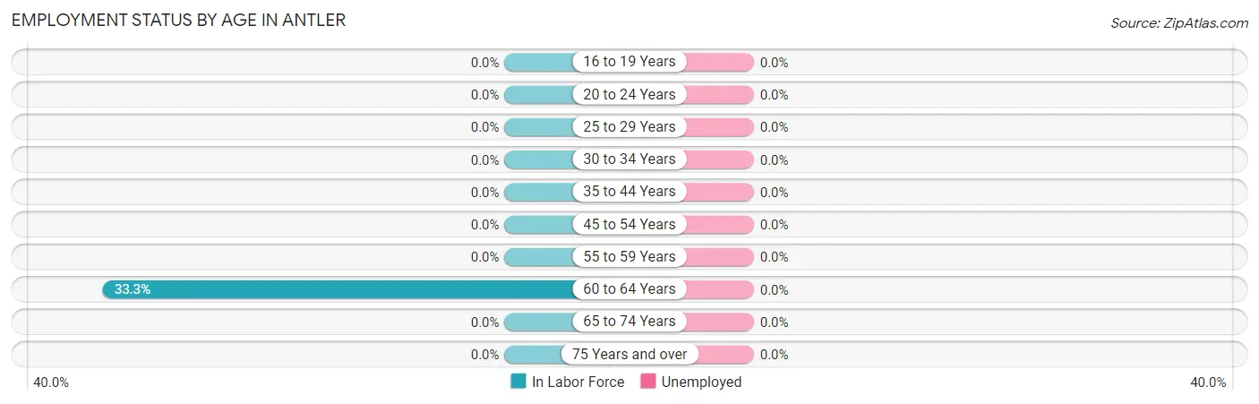 Employment Status by Age in Antler