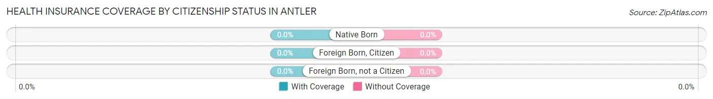Health Insurance Coverage by Citizenship Status in Antler