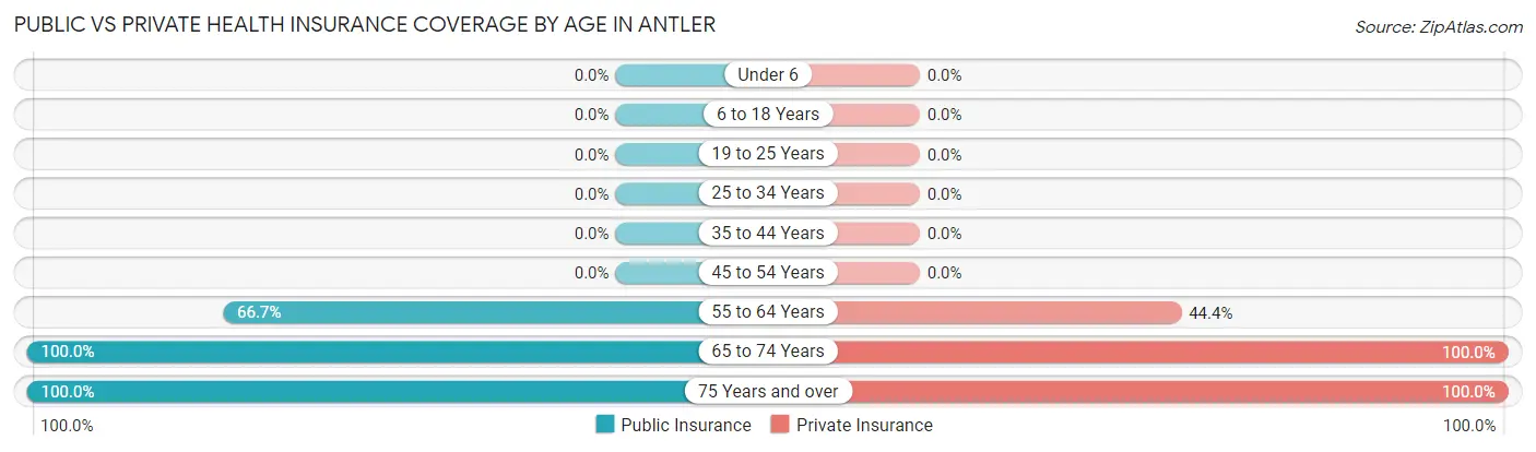Public vs Private Health Insurance Coverage by Age in Antler