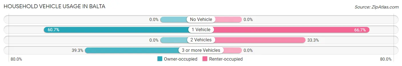 Household Vehicle Usage in Balta