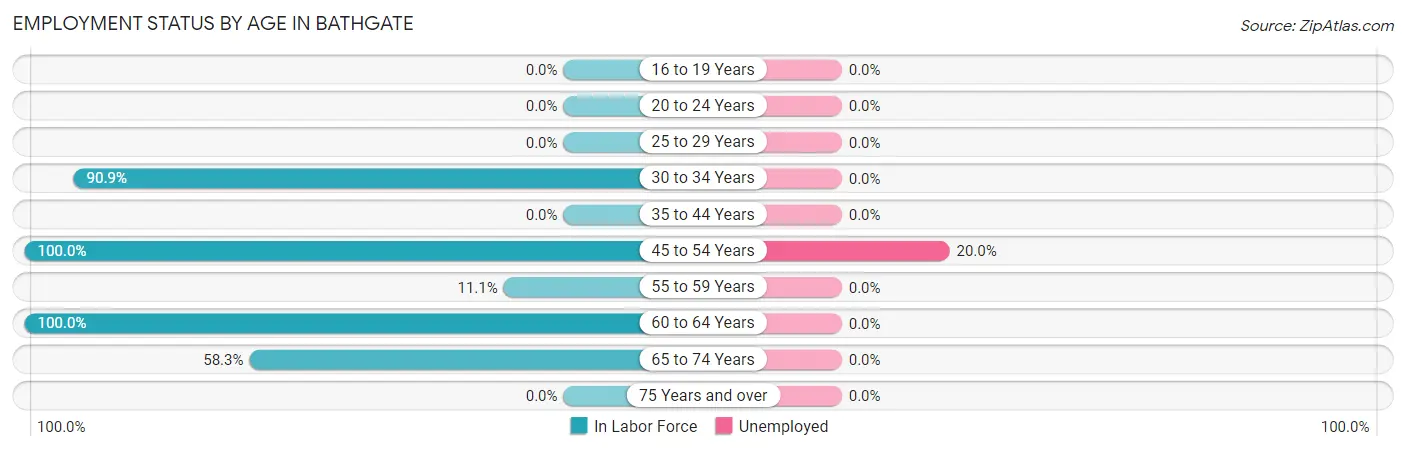 Employment Status by Age in Bathgate
