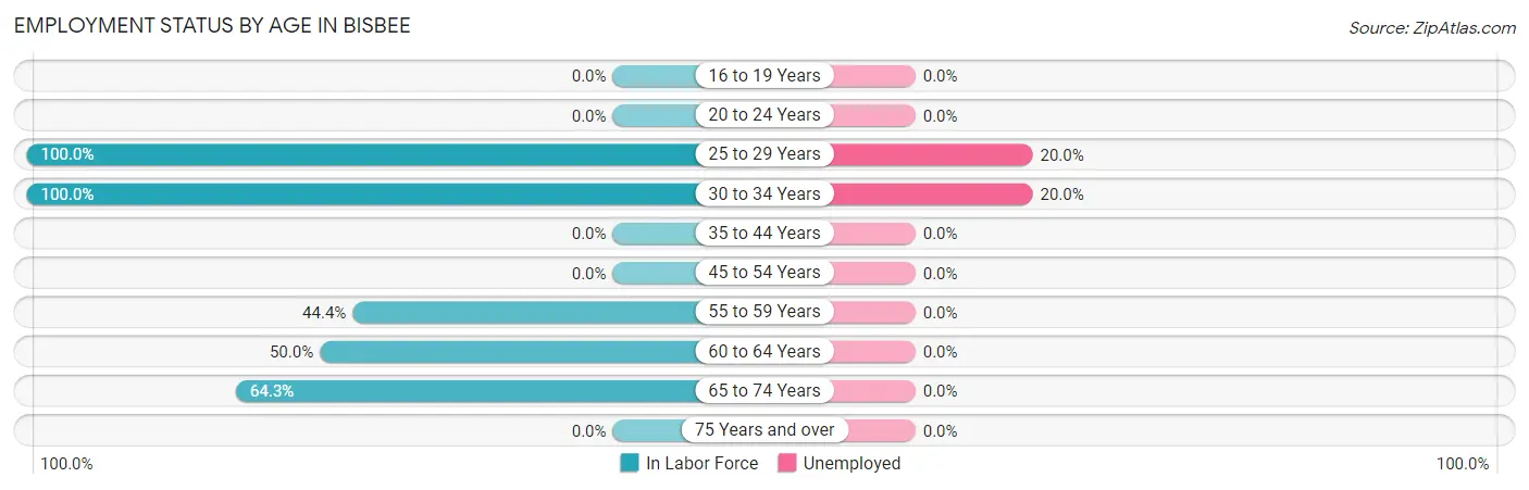 Employment Status by Age in Bisbee