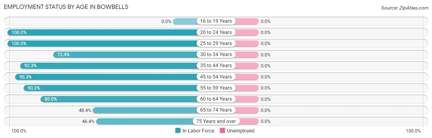 Employment Status by Age in Bowbells