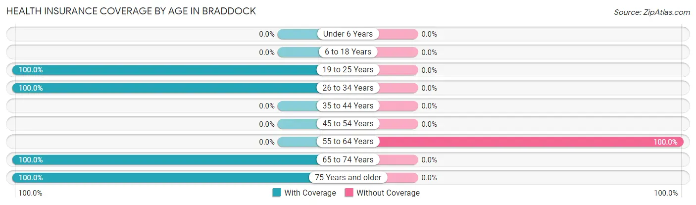 Health Insurance Coverage by Age in Braddock