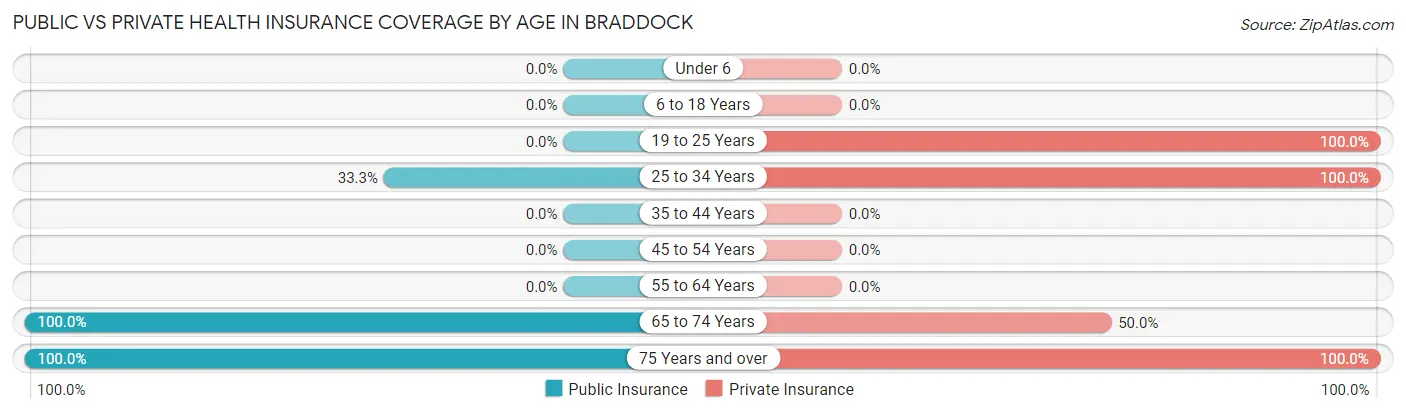 Public vs Private Health Insurance Coverage by Age in Braddock