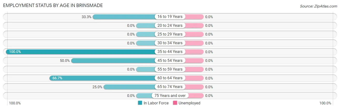 Employment Status by Age in Brinsmade