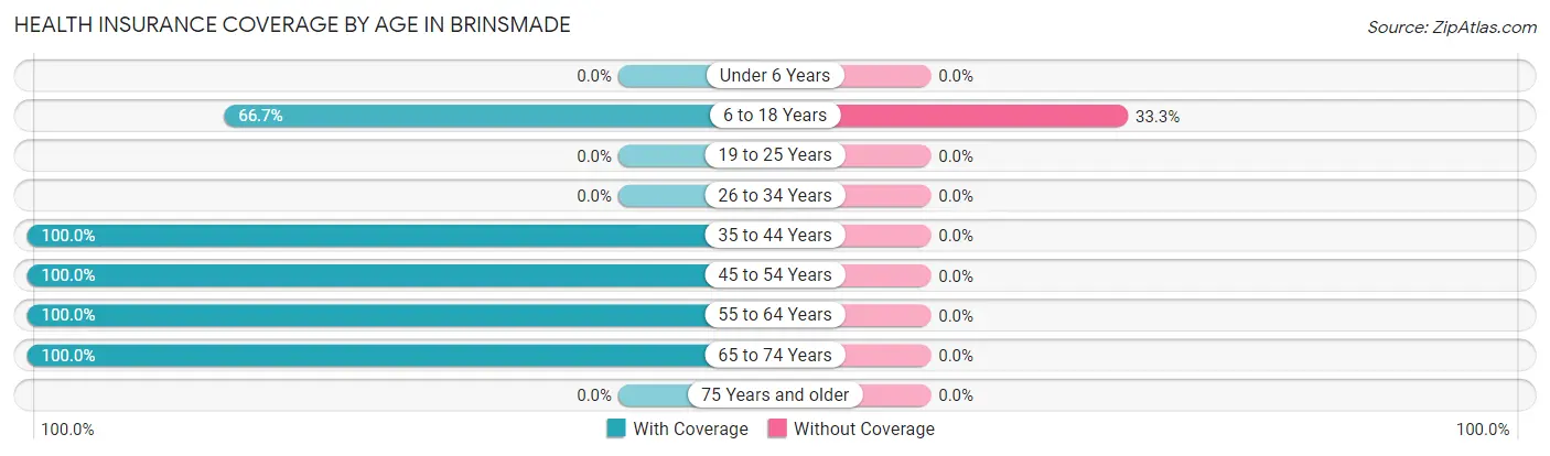 Health Insurance Coverage by Age in Brinsmade