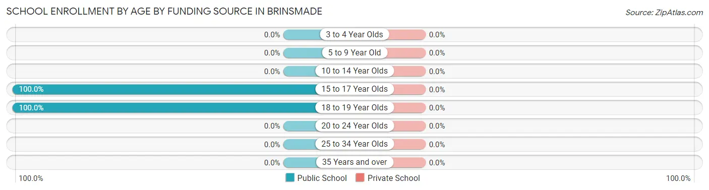 School Enrollment by Age by Funding Source in Brinsmade