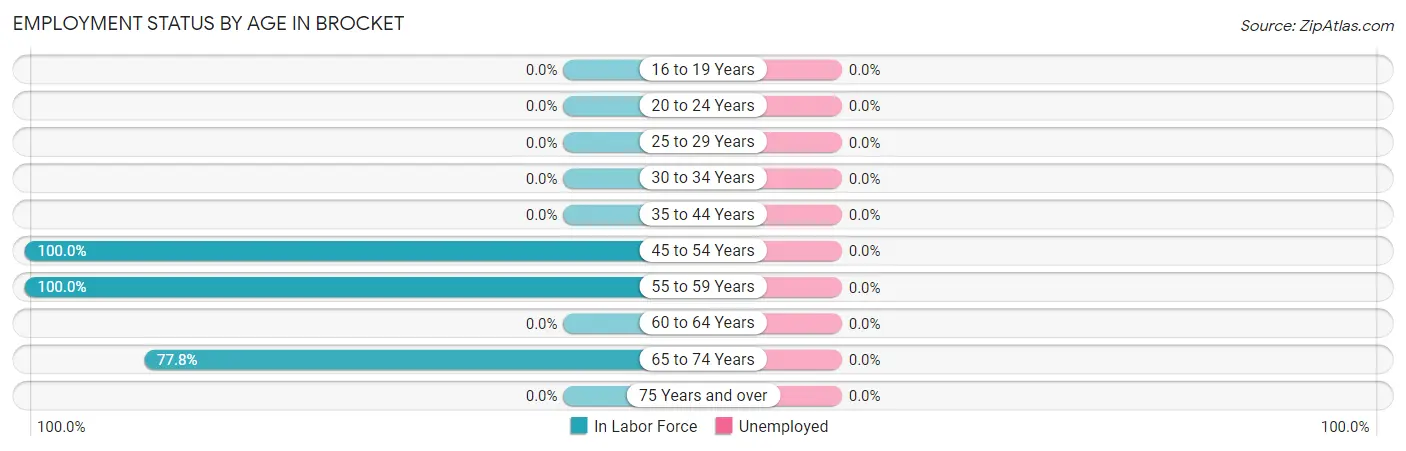 Employment Status by Age in Brocket