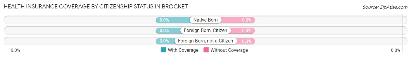Health Insurance Coverage by Citizenship Status in Brocket