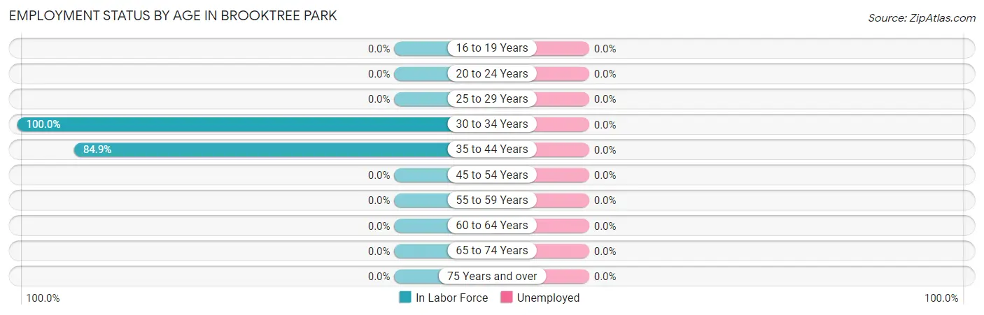 Employment Status by Age in Brooktree Park