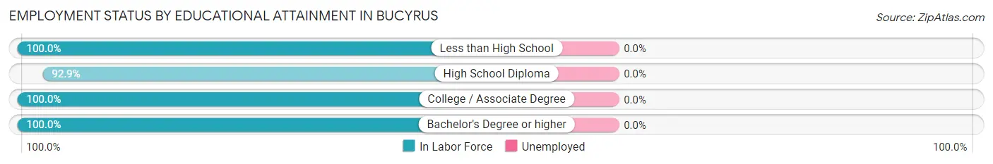 Employment Status by Educational Attainment in Bucyrus