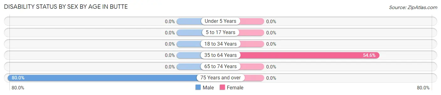 Disability Status by Sex by Age in Butte