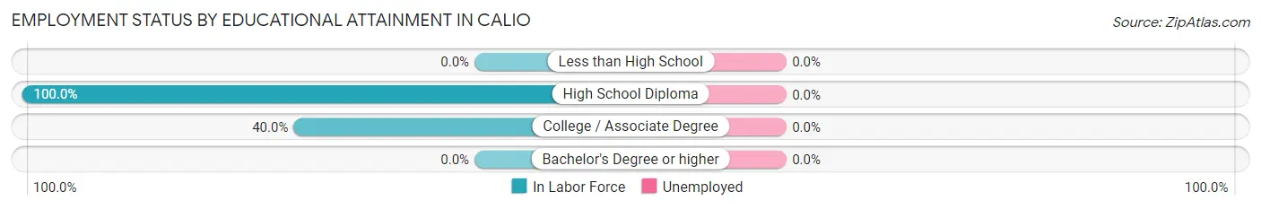 Employment Status by Educational Attainment in Calio