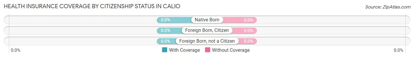 Health Insurance Coverage by Citizenship Status in Calio