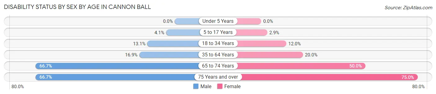 Disability Status by Sex by Age in Cannon Ball