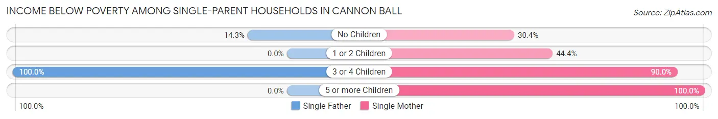 Income Below Poverty Among Single-Parent Households in Cannon Ball