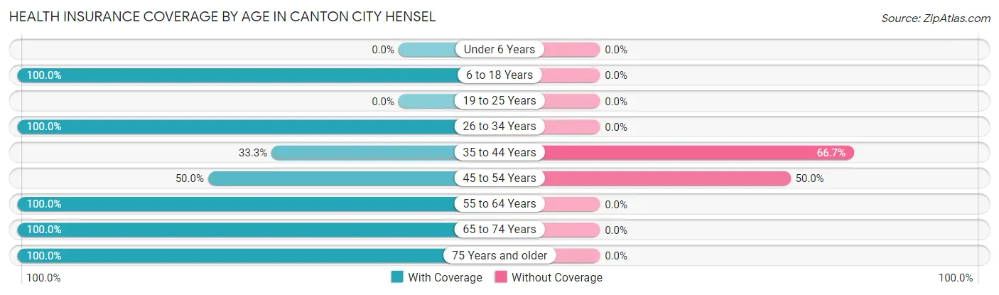 Health Insurance Coverage by Age in Canton City Hensel