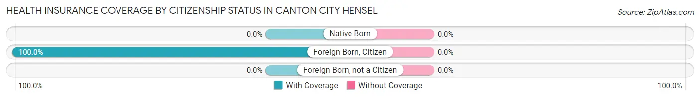 Health Insurance Coverage by Citizenship Status in Canton City Hensel
