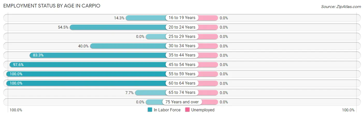 Employment Status by Age in Carpio