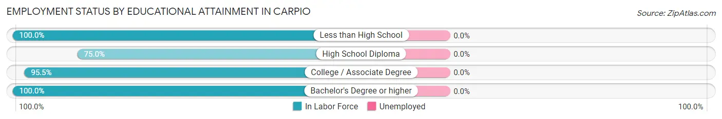 Employment Status by Educational Attainment in Carpio